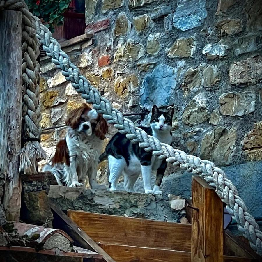 Camere Vecchia Fonte Campiglia Marittima Dış mekan fotoğraf