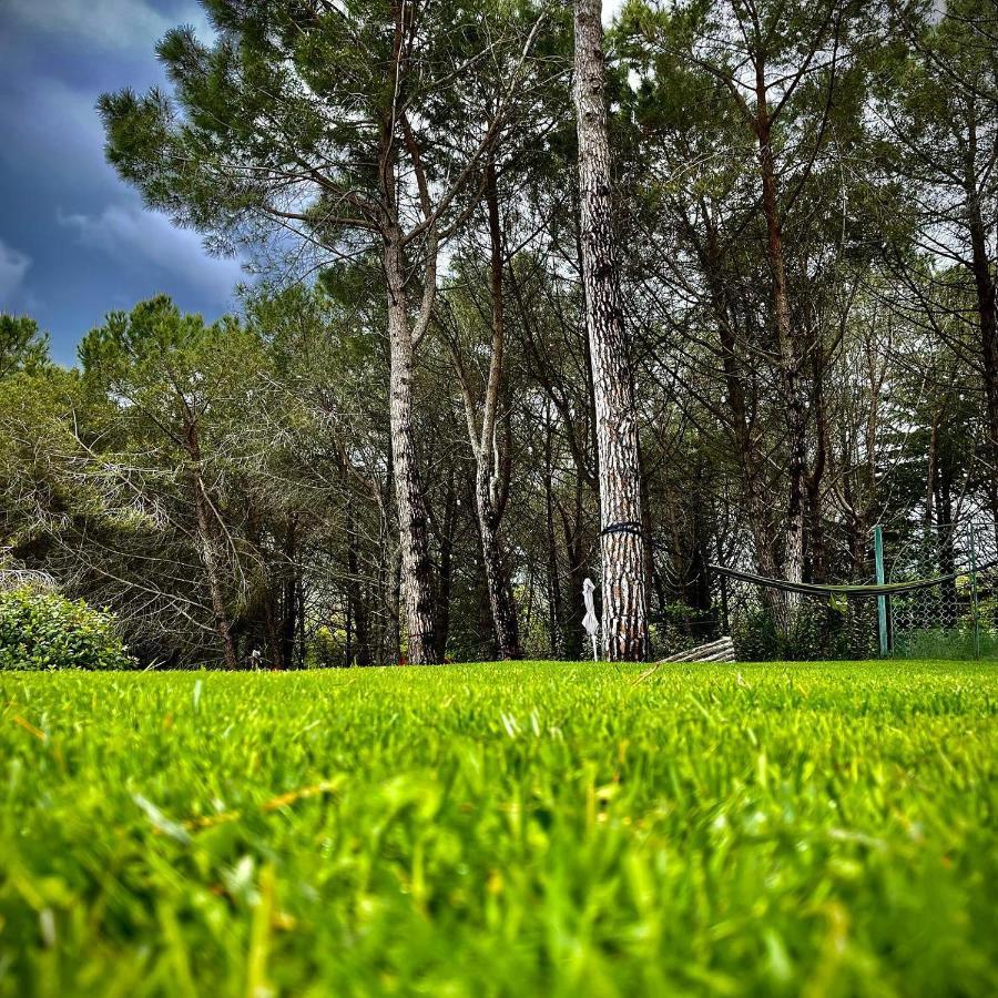 Camere Vecchia Fonte Campiglia Marittima Dış mekan fotoğraf